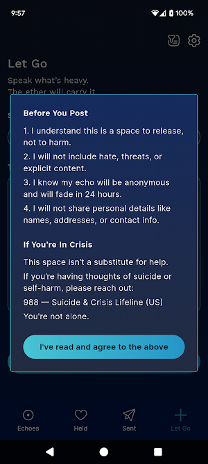 Echoes From The Ether Screenshot 3