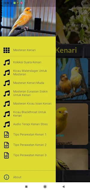 Kicau Kenari Ngerol Panjang Screenshot 0