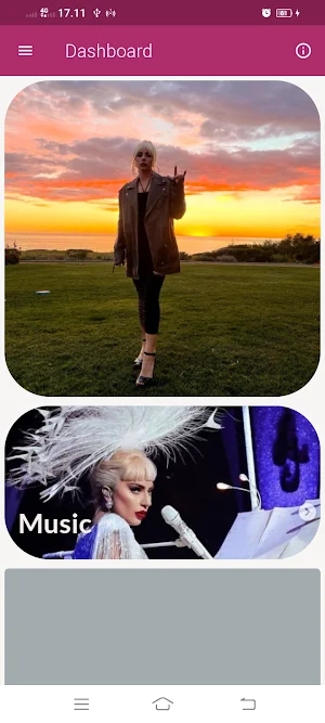 Lady Gaga Songs Offline Screenshot 0