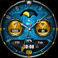 DM143 Sophisticated Watch Face