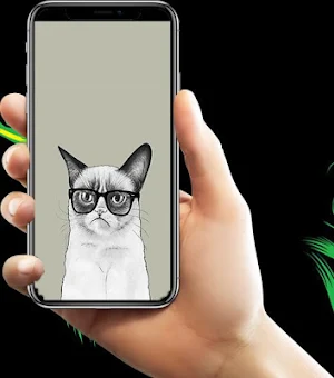 Grumpy Cat Lock Screen Screenshot 1