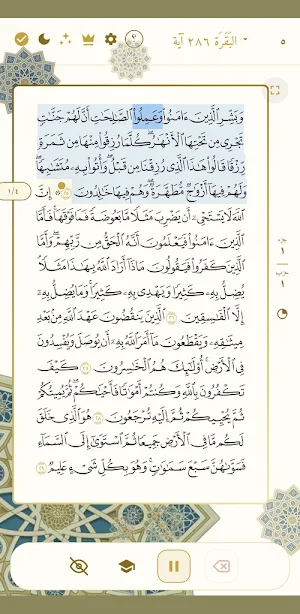 Mushaf Tahfeez Al Quran Screenshot 0