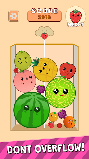 Fruit Fall Screenshot 1