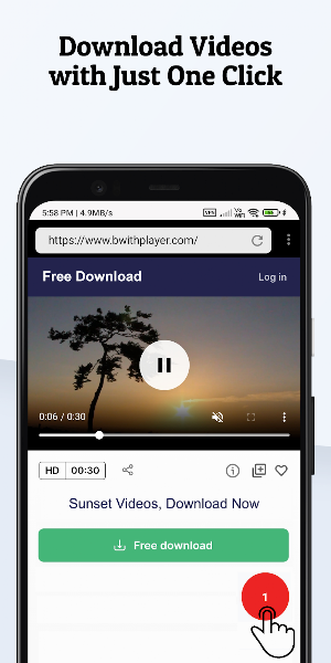 BW Video Downloader Screenshot 1