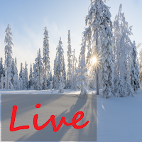 Snow Fall Live Wallpaper