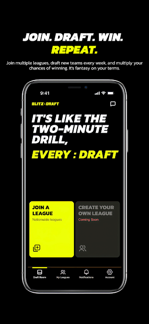 Blitz:Draft Screenshot 0