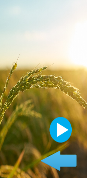 Relaxing Sounds for Sleeping Screenshot 1