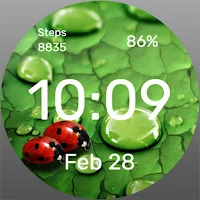 Ladybugs - Watch Face