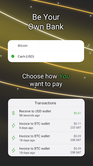 Flash Screenshot 1