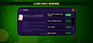 Roulette Casino Screenshot 2