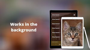 Kitten Sounds - Kitten Meow Sound Screenshot 3