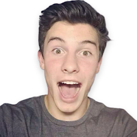 WAStickerApps - Shawn Mendes S