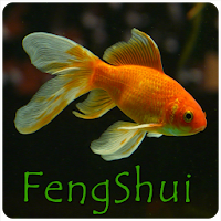 Feng Shui