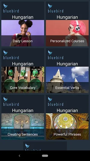 Learn Hungarian. Speak Hungarian. Study Hungarian. Screenshot 1