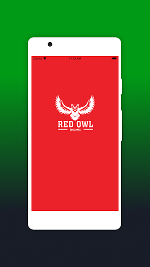 Red Owl Boxing Screenshot 0