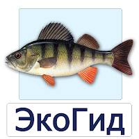 EcoGuide: Russian Wild Fish