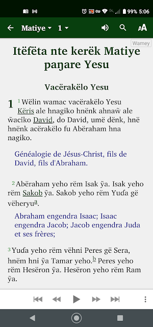 The Bible in Wamey (Konyagi) Screenshot 3