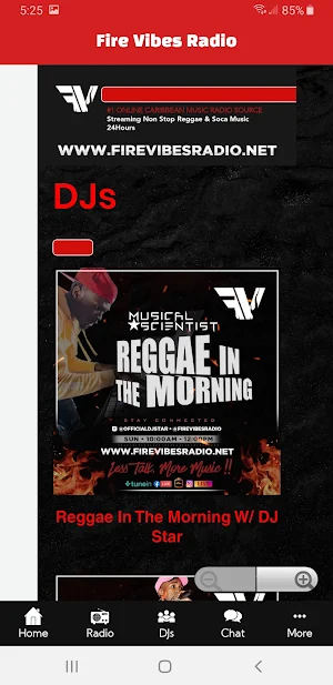 Fire Vibes Radio Screenshot 1