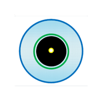 ConnectorView