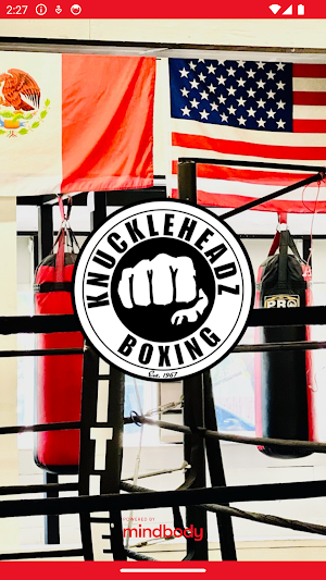 KnuckleHeadz Boxing Screenshot 0