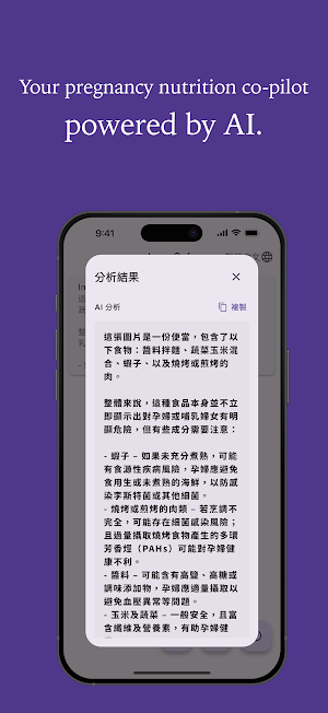 Ingresafe Screenshot 1