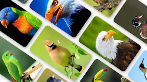Bird Wallpaper 2023 Screenshot 0