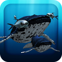 3D Sea Fish Live Wallpaper HD