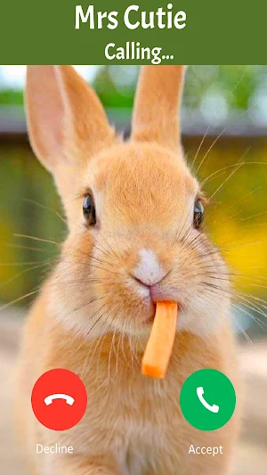 Fake Call: Bunny Screenshot 1