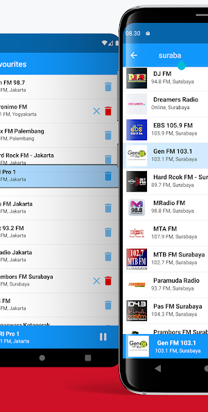 Radio Indonesia FM Screenshot 1
