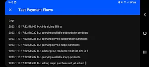 Test Payment Flows Screenshot 3