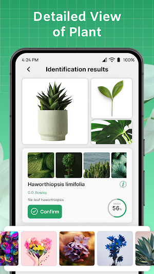 ePlant - Ai Plant Identifier Screenshot 3