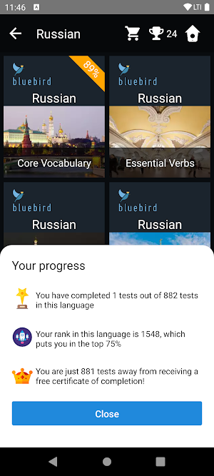 Russian Language Tests Screenshot 2