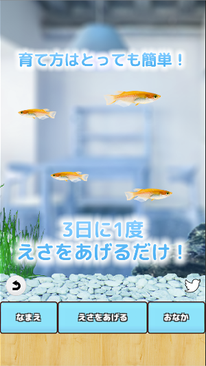 まったりメダカ育成ゲーム Screenshot 1