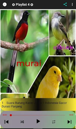 Masteran Burung Nonstop MP3 Screenshot 2