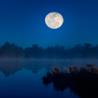 Relax Night Sleeping Sounds