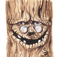 Il Bosco che Suona