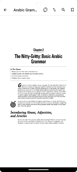 Arabic Grammar and Language Screenshot 2