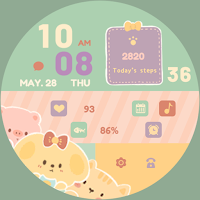 Cute Union ZKin Watch Face