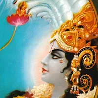 Vyasaya Vishnu Rupay Stotram