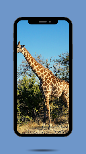 Giraffe Ringtone Screenshot 1