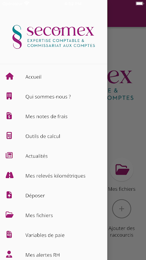 SECOMEX Screenshot 2