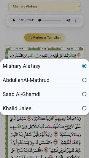 Surah Yasin Screenshot 2