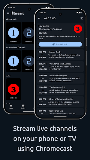 Streamiq – IPTV Player Screenshot 2