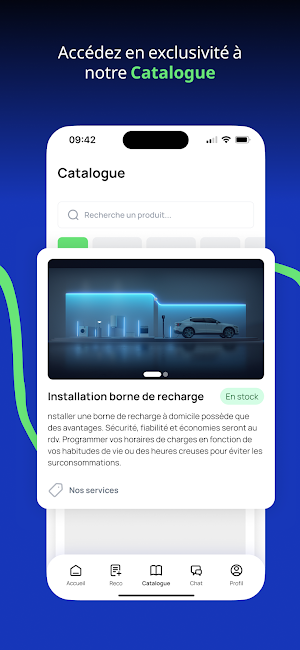 LA BORNE ELECTRIQUE Screenshot 2