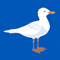 BHASeagulls - Live Scores