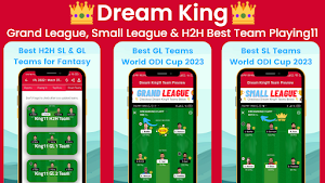 DK11 IPL Dream Prediction Team Screenshot 0
