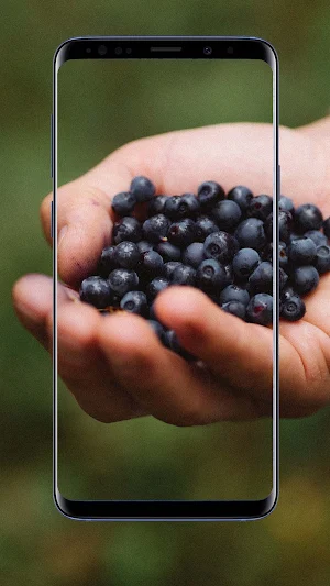 Blueberry Wallpaper Screenshot 3
