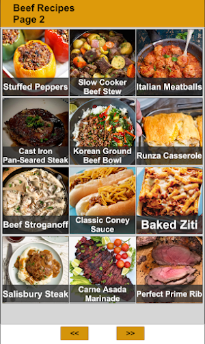 120 Beef Recipes Screenshot 1