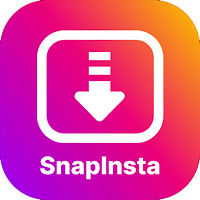 Insta post video reels