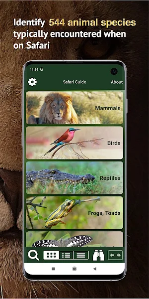 Golden Safari Guide Screenshot 1